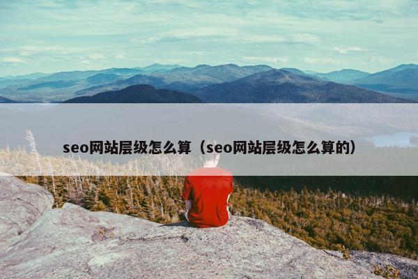 seo网站层级怎么算（seo网站层级怎么算的）