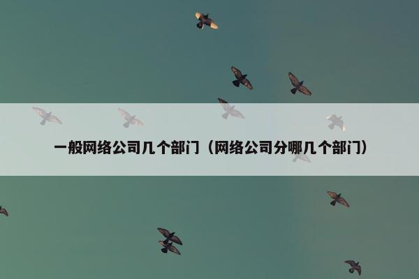 一般网络公司几个部门（网络公司分哪几个部门）