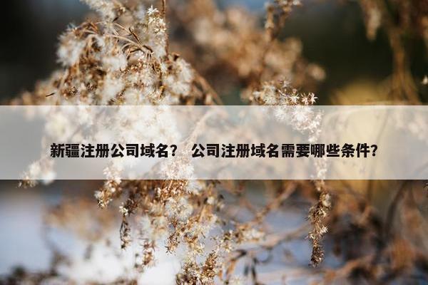 新疆注册公司域名？ 公司注册域名需要哪些条件？