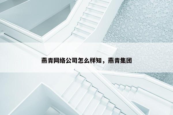 燕青网络公司怎么样知，燕青集团