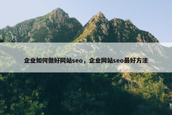 企业如何做好网站seo，企业网站seo最好方法