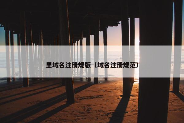 里域名注册规版（域名注册规范）
