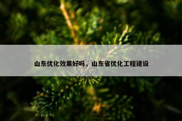 山东优化效果好吗，山东省优化工程建设