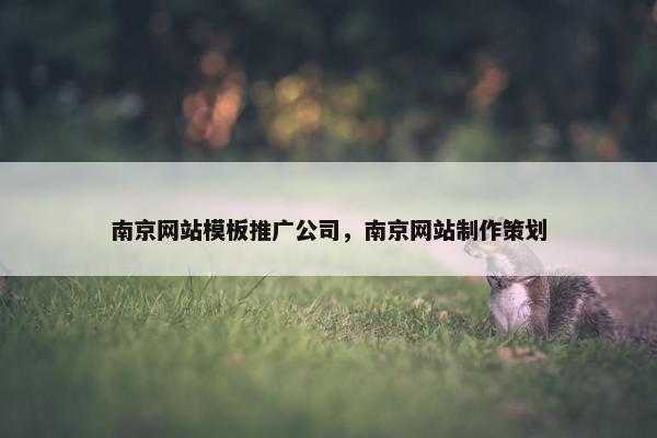 南京网站模板推广公司，南京网站制作策划