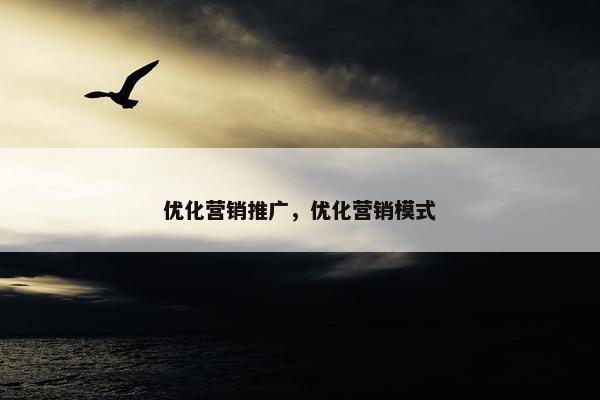 优化营销推广，优化营销模式