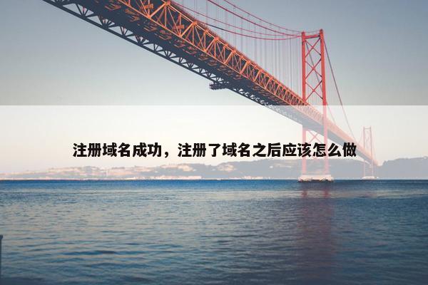 注册域名成功，注册了域名之后应该怎么做
