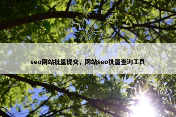 seo网站批量提交，网站seo批量查询工具