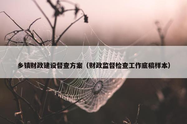 乡镇财政建设督查方案（财政监督检查工作底稿样本）