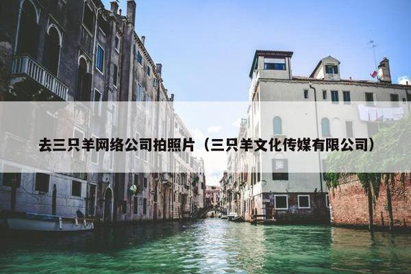 去三只羊网络公司拍照片（三只羊文化传媒有限公司）