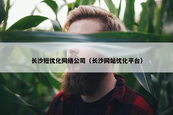 长沙短优化网络公司（长沙网站优化平台）