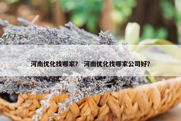 河南优化找哪家？ 河南优化找哪家公司好？