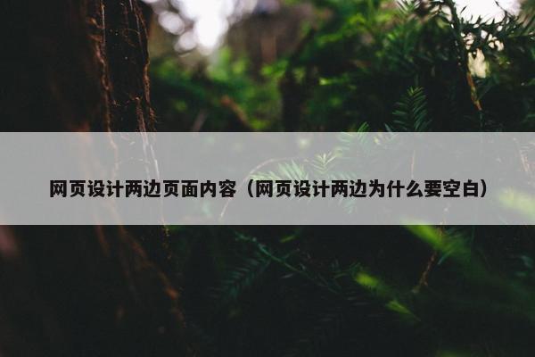 网页设计两边页面内容（网页设计两边为什么要空白）