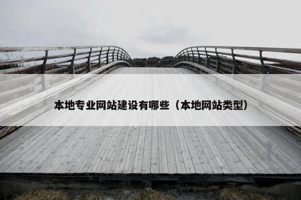 本地专业网站建设有哪些（本地网站类型）