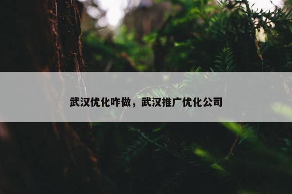 武汉优化咋做，武汉推广优化公司