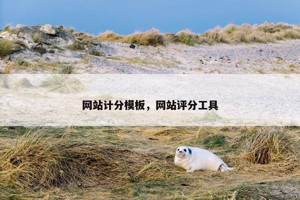 网站计分模板，网站评分工具