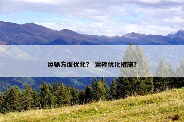 运输方面优化？ 运输优化措施？