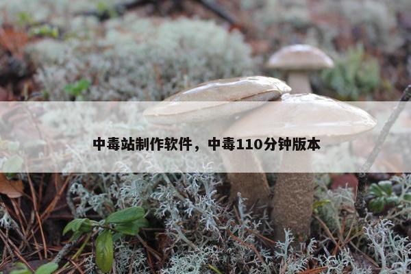中毒站制作软件，中毒110分钟版本