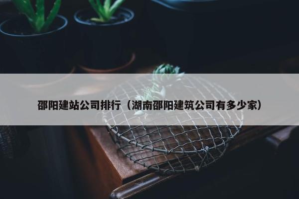 邵阳建站公司排行（湖南邵阳建筑公司有多少家）