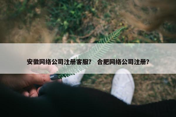安徽网络公司注册客服？ 合肥网络公司注册？