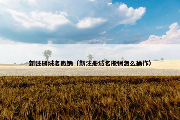 新注册域名撤销（新注册域名撤销怎么操作）