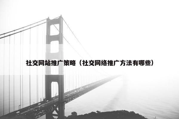 社交网站推广策略（社交网络推广方法有哪些）