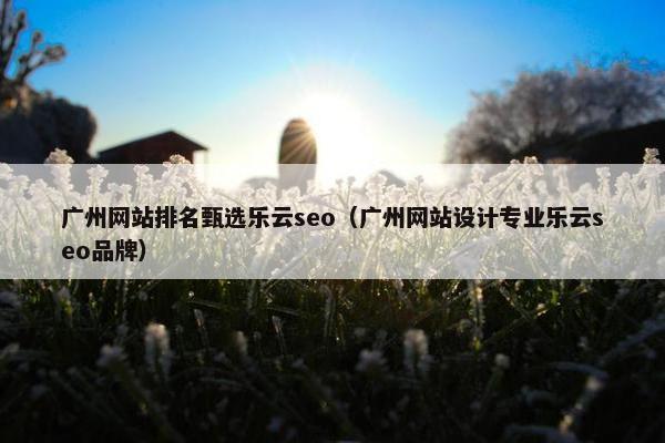 广州网站排名甄选乐云seo（广州网站设计专业乐云seo品牌）