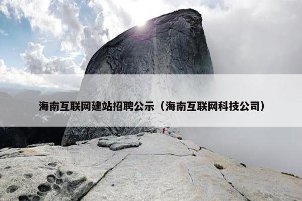 海南互联网建站招聘公示（海南互联网科技公司）