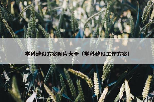 学科建设方案图片大全（学科建设工作方案）