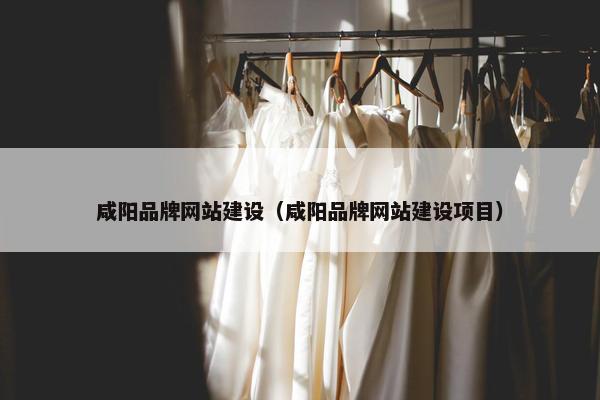 咸阳品牌网站建设（咸阳品牌网站建设项目）