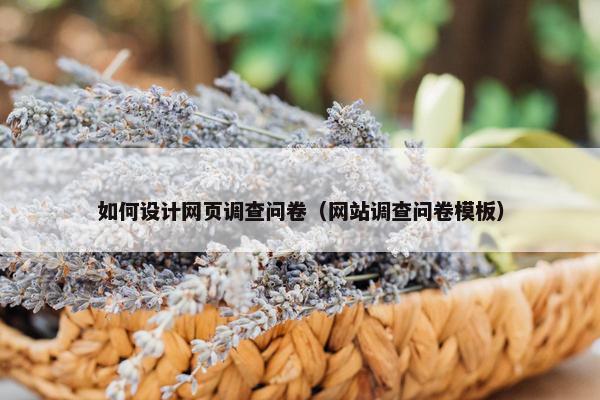 如何设计网页调查问卷（网站调查问卷模板）