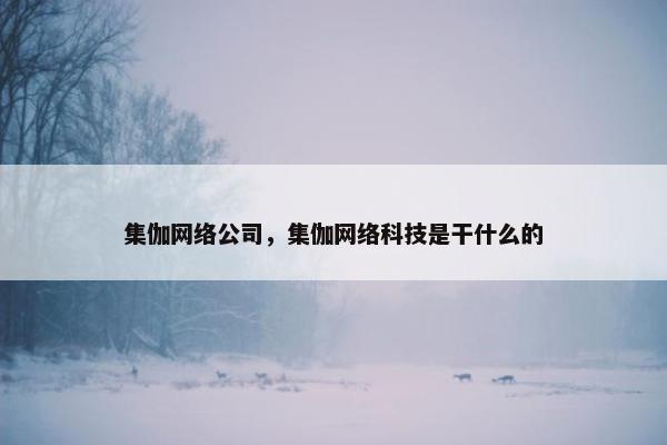 集伽网络公司，集伽网络科技是干什么的