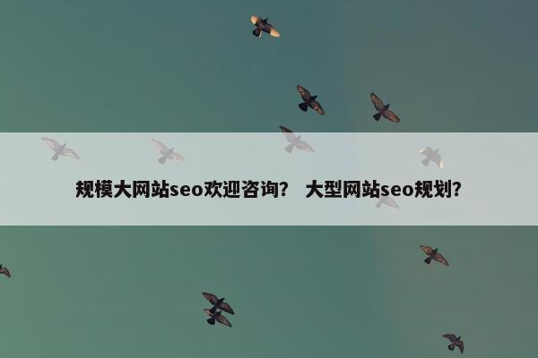 规模大网站seo欢迎咨询？ 大型网站seo规划？