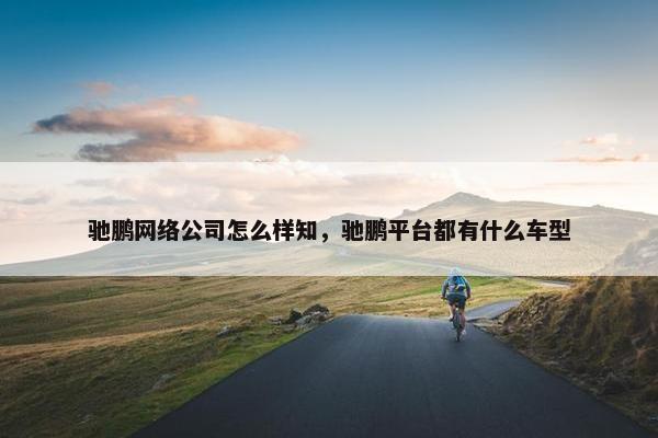 驰鹏网络公司怎么样知，驰鹏平台都有什么车型
