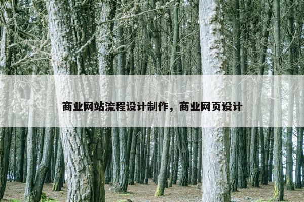 商业网站流程设计制作，商业网页设计