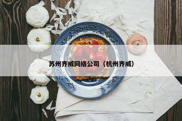 苏州齐威网络公司（杭州齐威）
