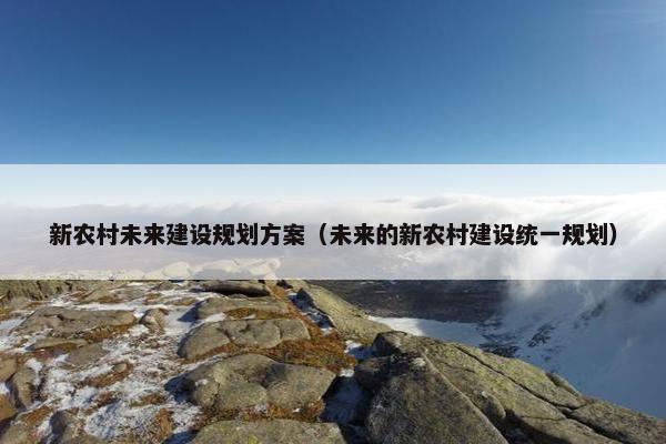 新农村未来建设规划方案（未来的新农村建设统一规划）
