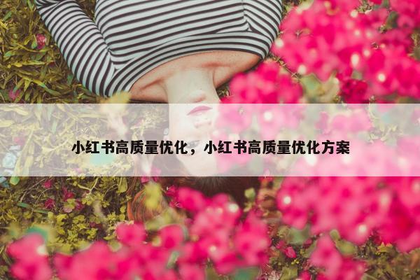 小红书高质量优化，小红书高质量优化方案