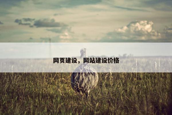 网页建设，网站建设价格