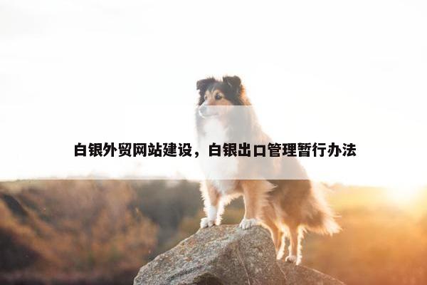 白银外贸网站建设，白银出口管理暂行办法