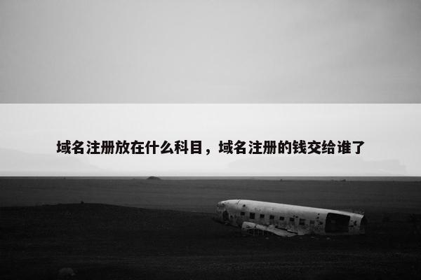 域名注册放在什么科目，域名注册的钱交给谁了