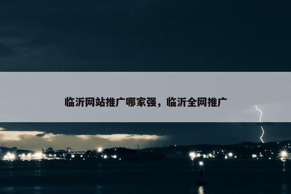 临沂网站推广哪家强，临沂全网推广