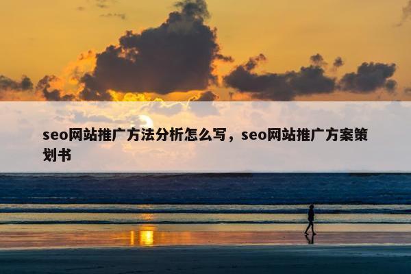 seo网站推广方法分析怎么写，seo网站推广方案策划书