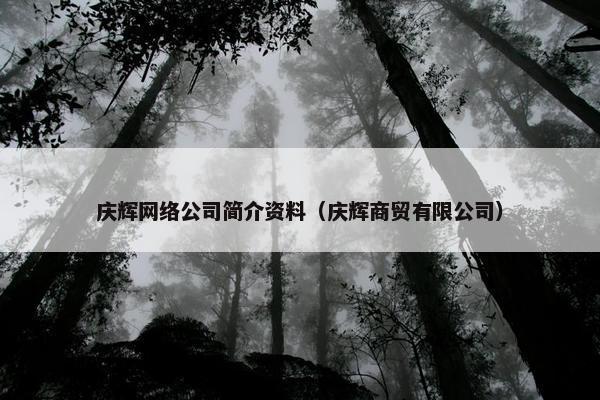 庆辉网络公司简介资料（庆辉商贸有限公司）