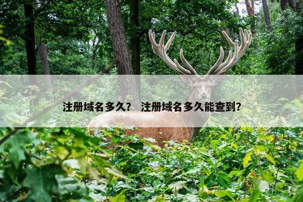 注册域名多久？ 注册域名多久能查到？