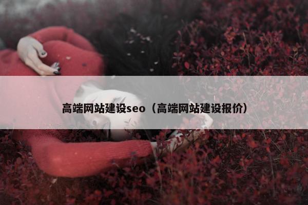 高端网站建设seo（高端网站建设报价）