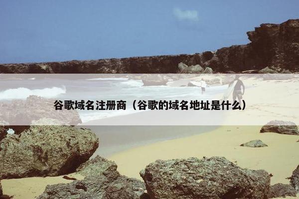谷歌域名注册商（谷歌的域名地址是什么）