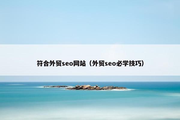 符合外贸seo网站（外贸seo必学技巧）