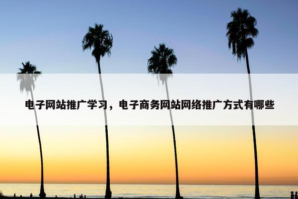 电子网站推广学习，电子商务网站网络推广方式有哪些