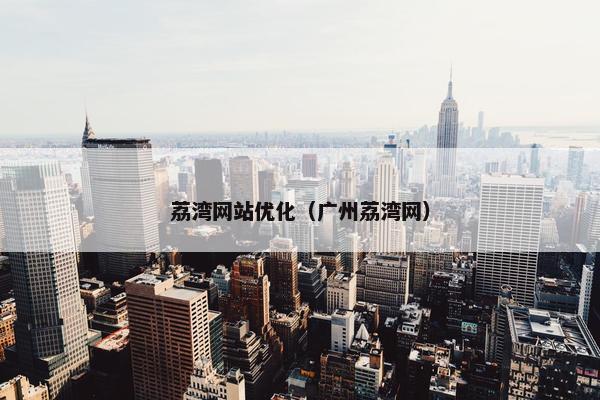 荔湾网站优化（广州荔湾网）