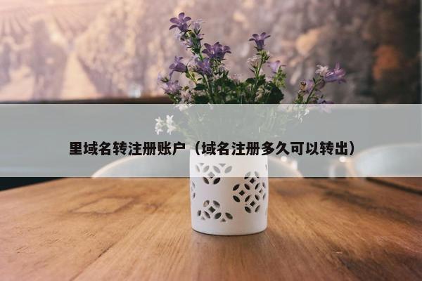 里域名转注册账户（域名注册多久可以转出）